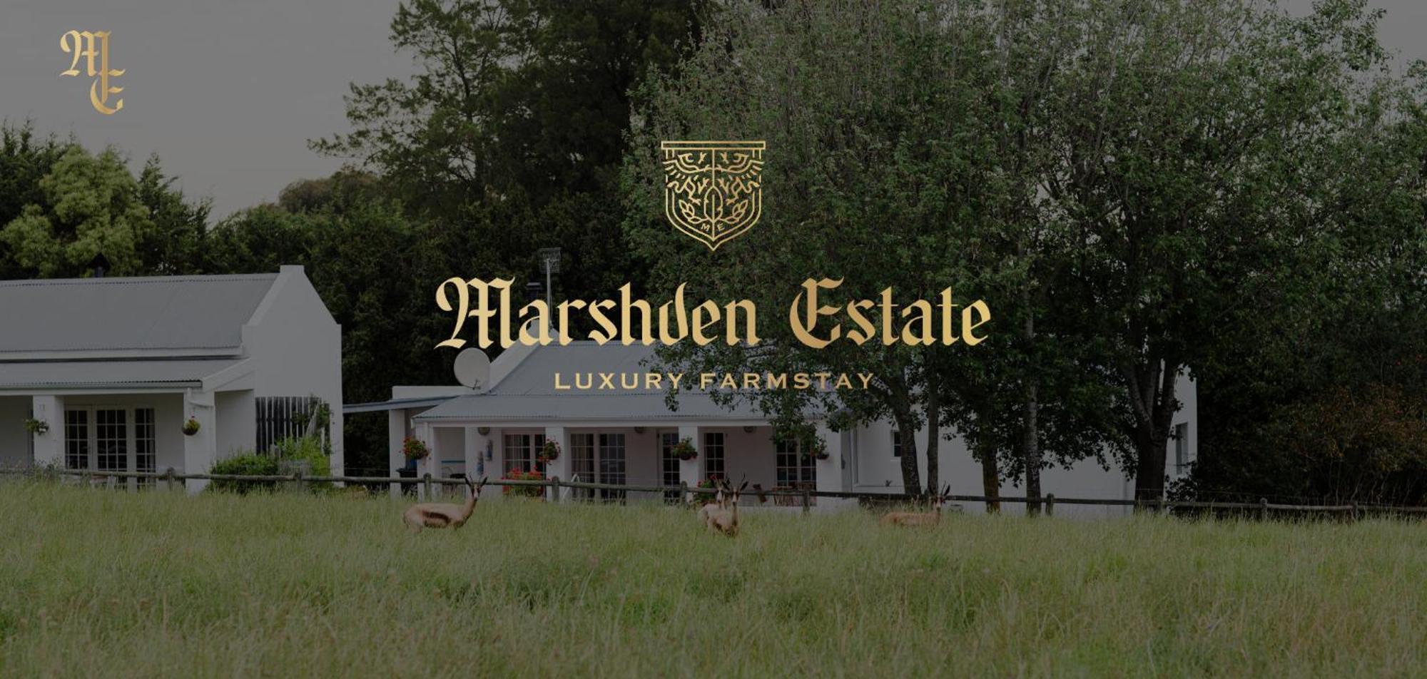 Bed and Breakfast Marshden Estate Стелленбос Экстерьер фото
